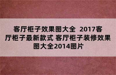 客厅柜子效果图大全  2017客厅柜子最新款式 客厅柜子装修效果图大全2014图片